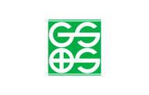 Gs and s logo